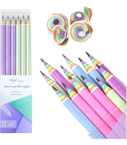 【No.1】カメさんのカスタム鉛筆 No.1】カメさんのカスタム鉛筆